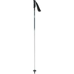 Swix Excalibur Ski Poles -Sik Sale swix excalibur ski pole light all
